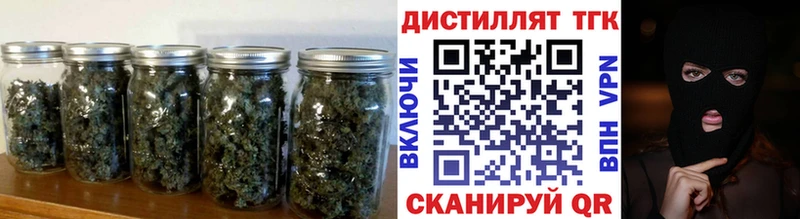 Купить где  Муравленко  Дистиллят ТГК Wax 