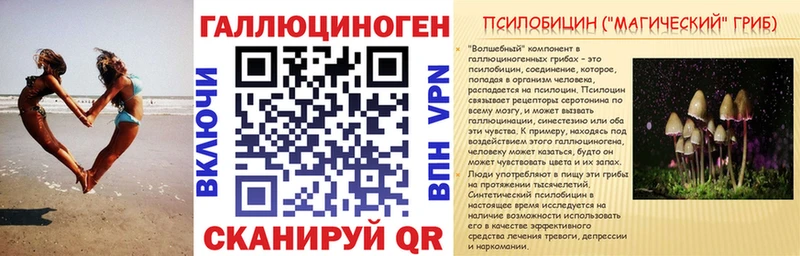 Купить где  Муравленко  Псилоцибиновые грибы прущие грибы 